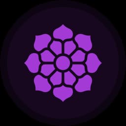 Chakra della Corona
